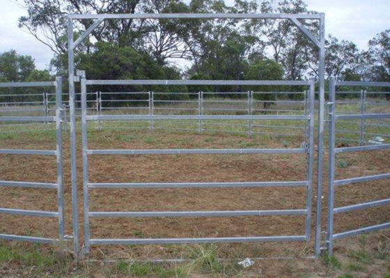 Il bestiame d'acciaio della ferrovia di norma 6 dell'Australia recinta i pannelli ovali del recinto del bestiame del metallo della ferrovia 40x80